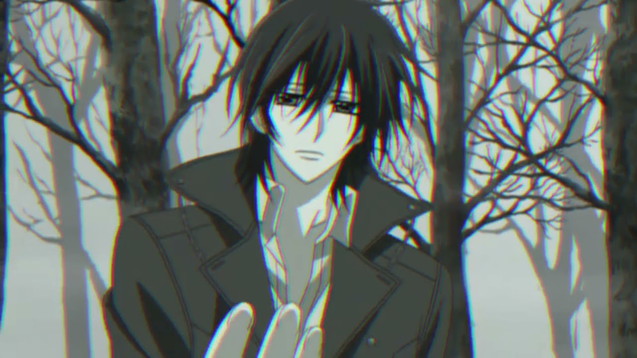Vampire Knight AMV Toxic