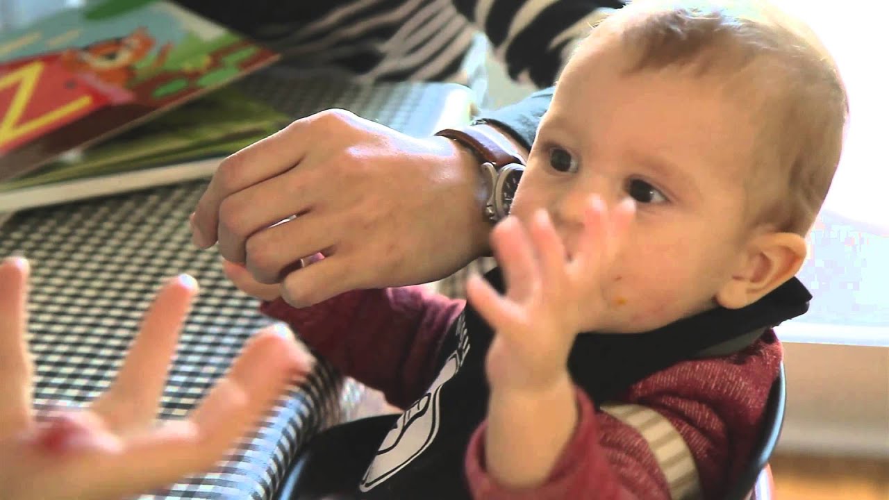 Pointing gesture - http://beforefirstwords.upf.edu