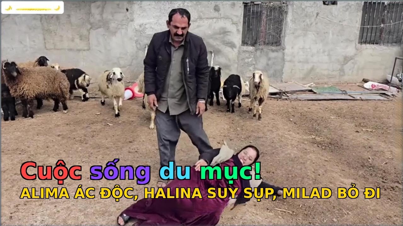 Milad và halina - TẬP 505 - 519: Alima hành hạ, Halina tái phát bệnh, Milad phẫn nộ bỏ nhà đi.