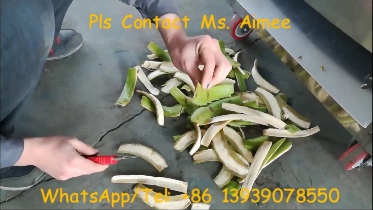 Green Banana Plantain Peeling Machine-WhatsApp/Wechat:  0086-13939078550