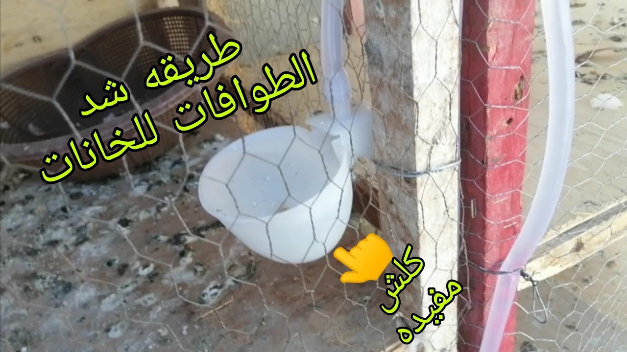 طريقه شد الطوافات للخانات خطوه بخطوه وشوفوو شجبنته طيور دايه جدد