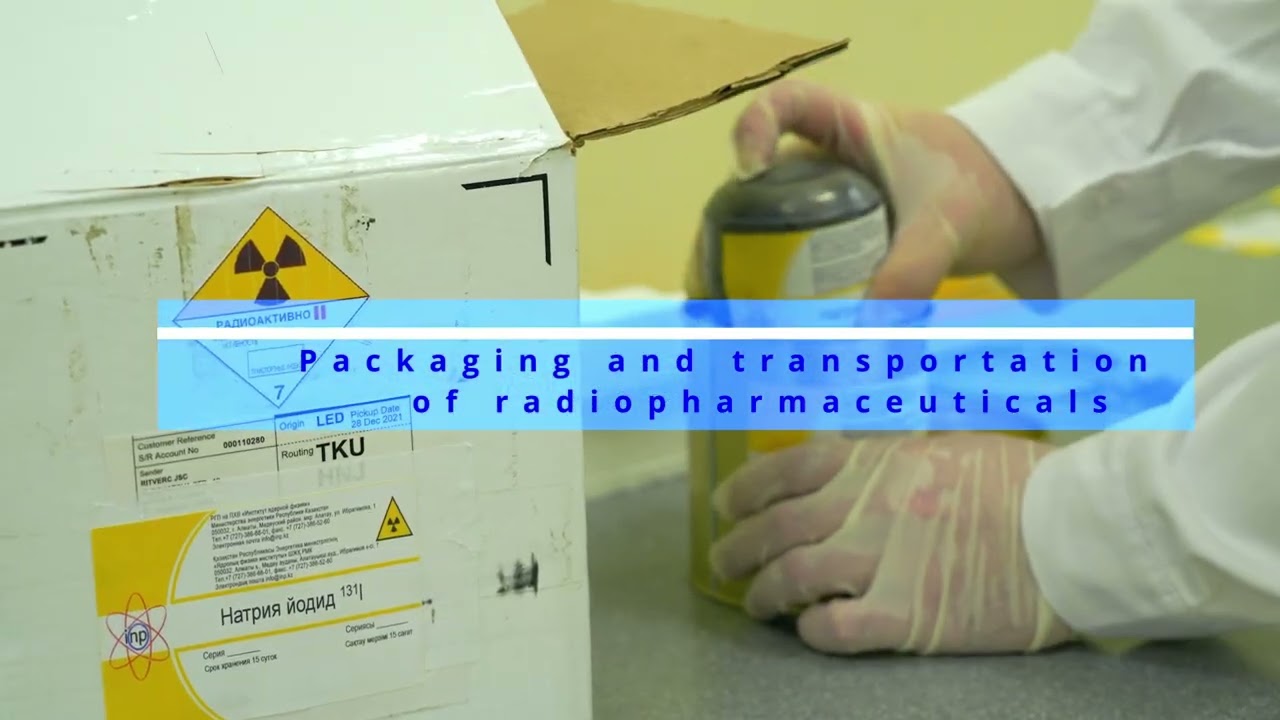 Production of Radioisotope Products in INP