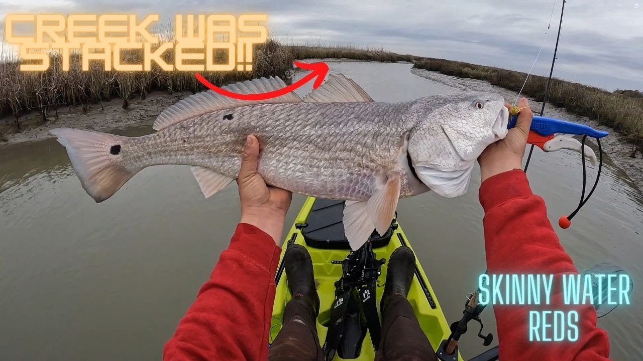 This TINY creek was LOADED with Giants!! (Corpus Christi TX)