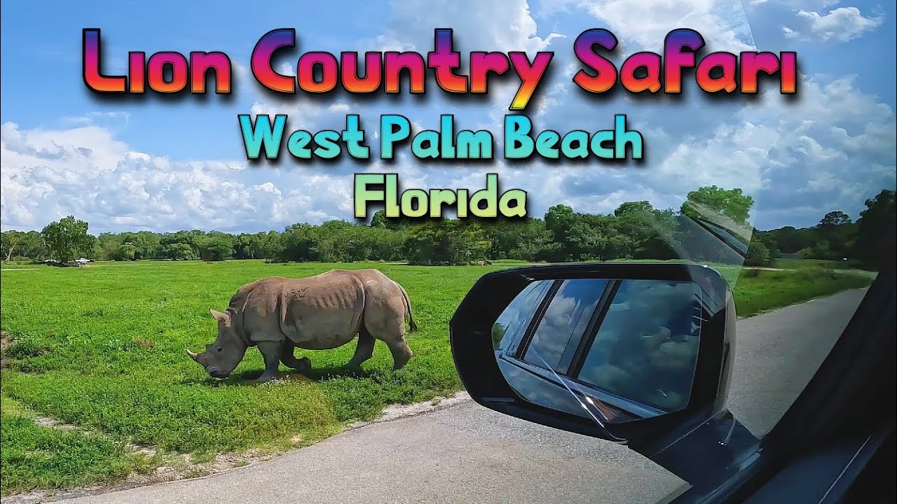 Сафари-парк Lion Country Safari, Уэст-Палм-Бич, Флорида