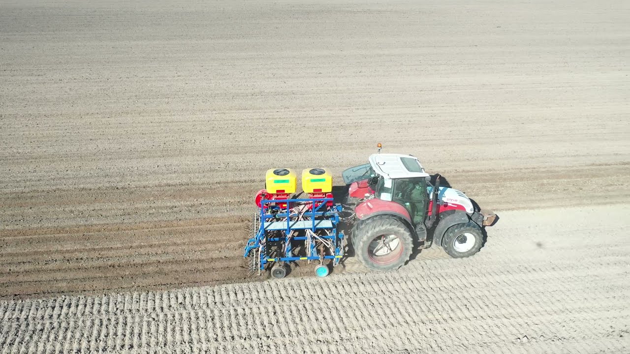 Veldbonen zaaien: mooi Nederlands krachtvoer van eigen land