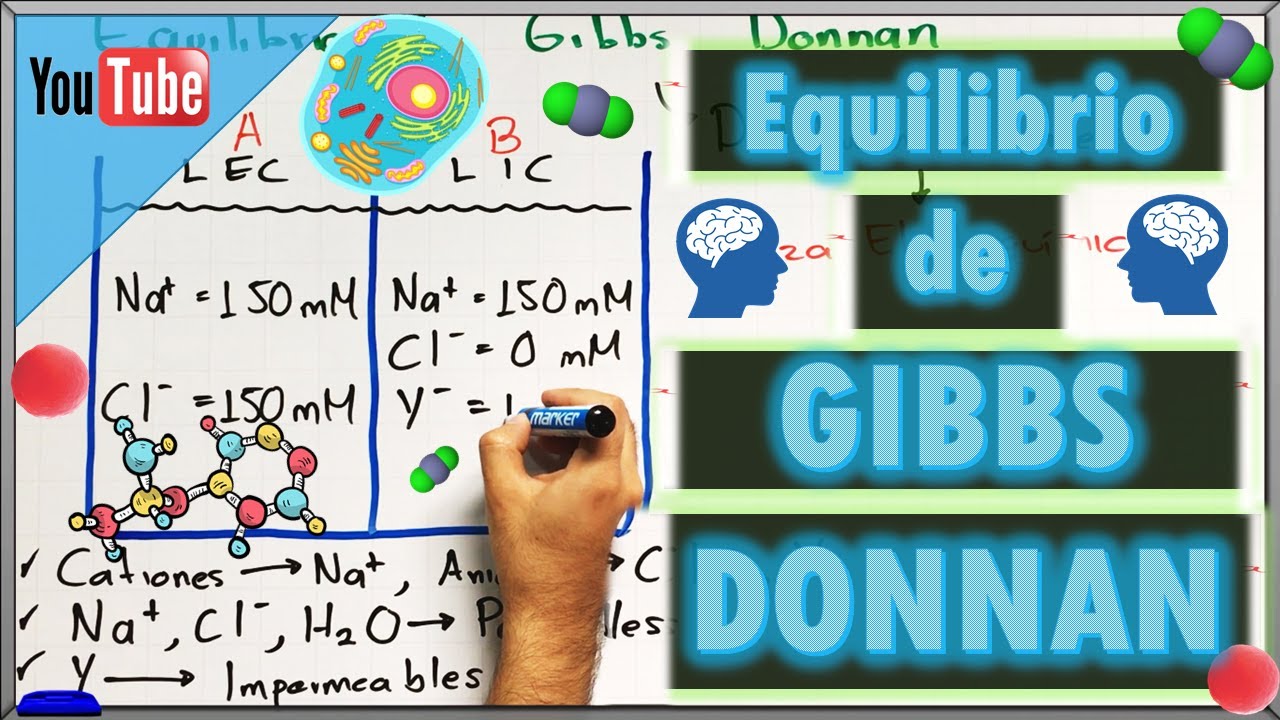 Equilibrio de GIBBS DONNAN