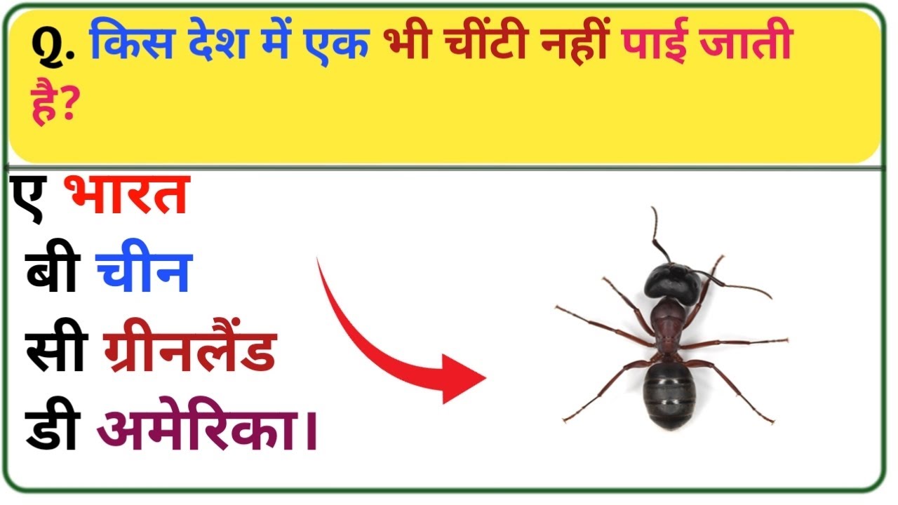 GK STUDY ||GK QUESTION AND ANSWER|| GK QUIZ||GK SHORTS|| GK EASY ||QUESTION EASY ANSWER
