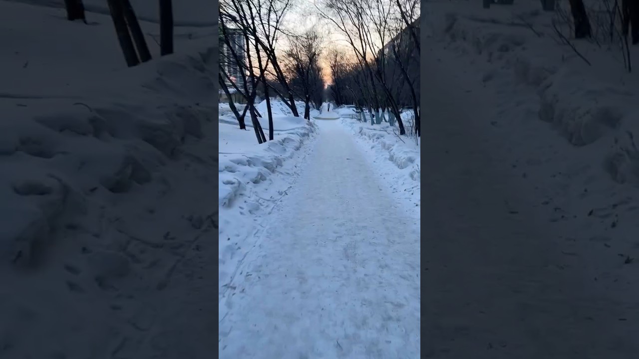 Мечтать полезно дгоон #sangova #humor #shortvideo #vlog #путьсанговой #love #работа