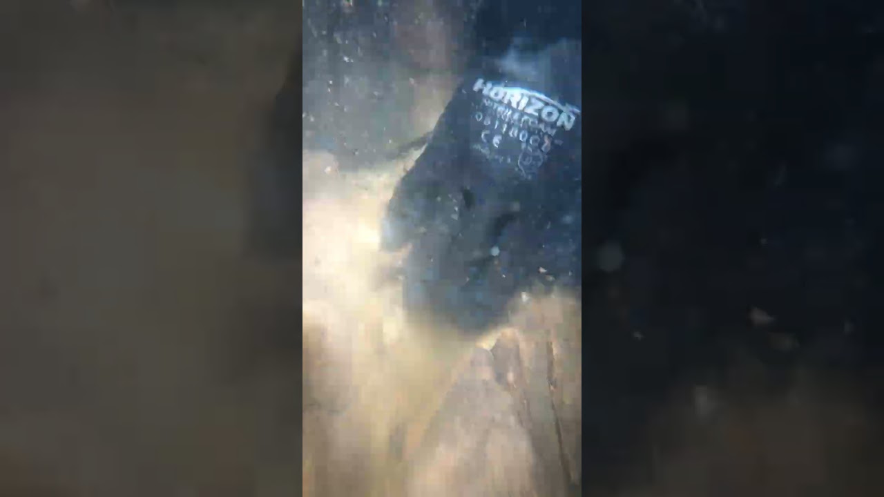 gold pieces stuck in bedrock crevice #goldrush