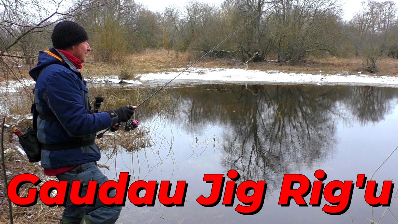 Jau galvojau nieko nepagausiu ,bet tada nuėjau iki senvagės! Žvejyba džig-rig sistema.