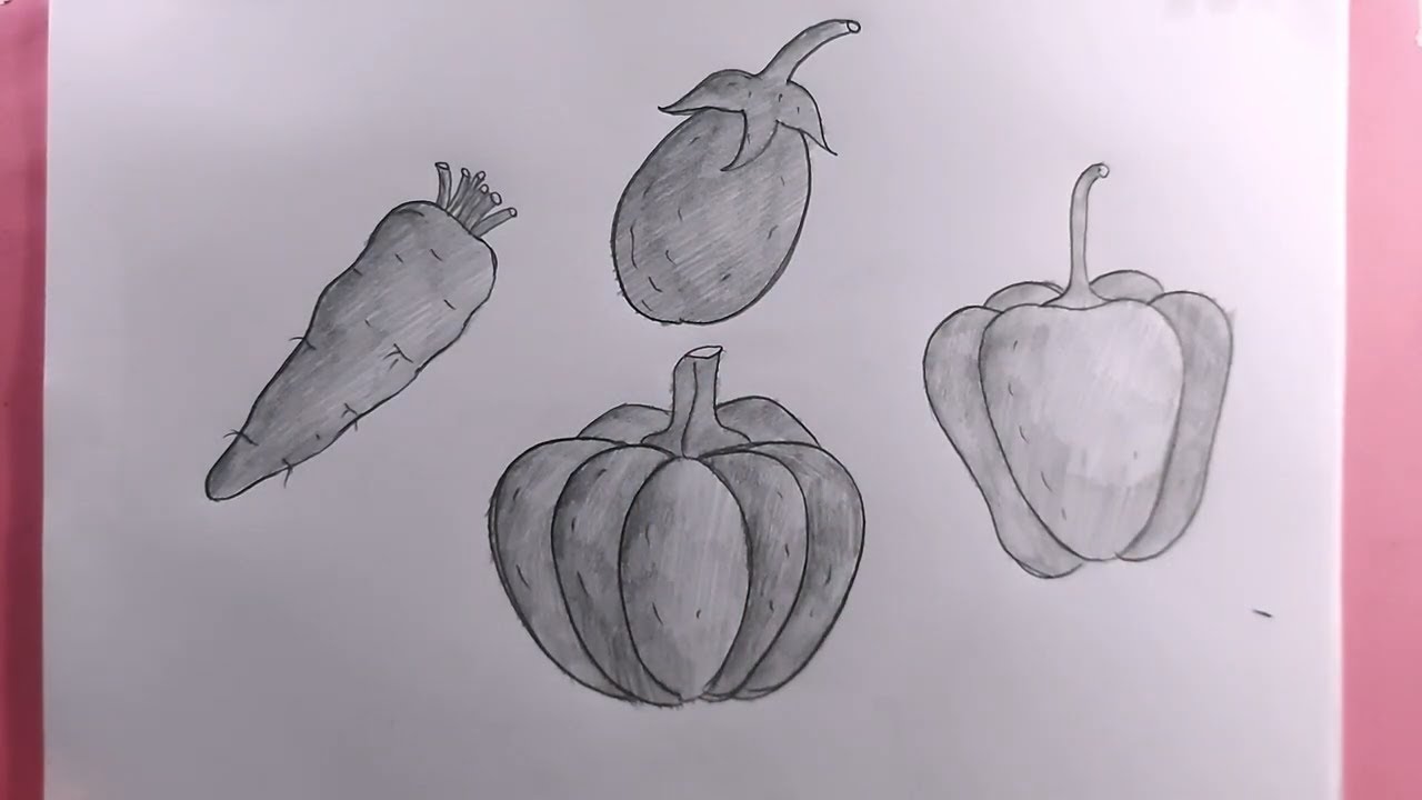 how to draw vegetable with pencil sketch/vegetable drawing easy