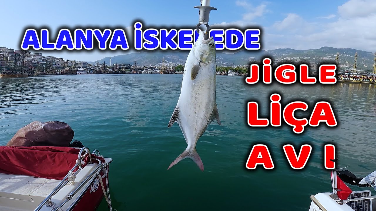 Aksiyon Dolu Jigle Liça Avı - Alanya İskelede  | VARSA ALIRIZZ!!!