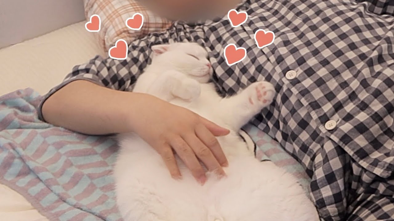 아빠 옆에서만 자는 고양이ㅠㅠ
