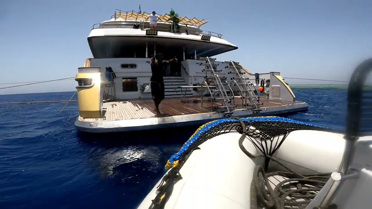 Golden Dolphin IV liveaboard Rocky - Deadalus - Zarbargad