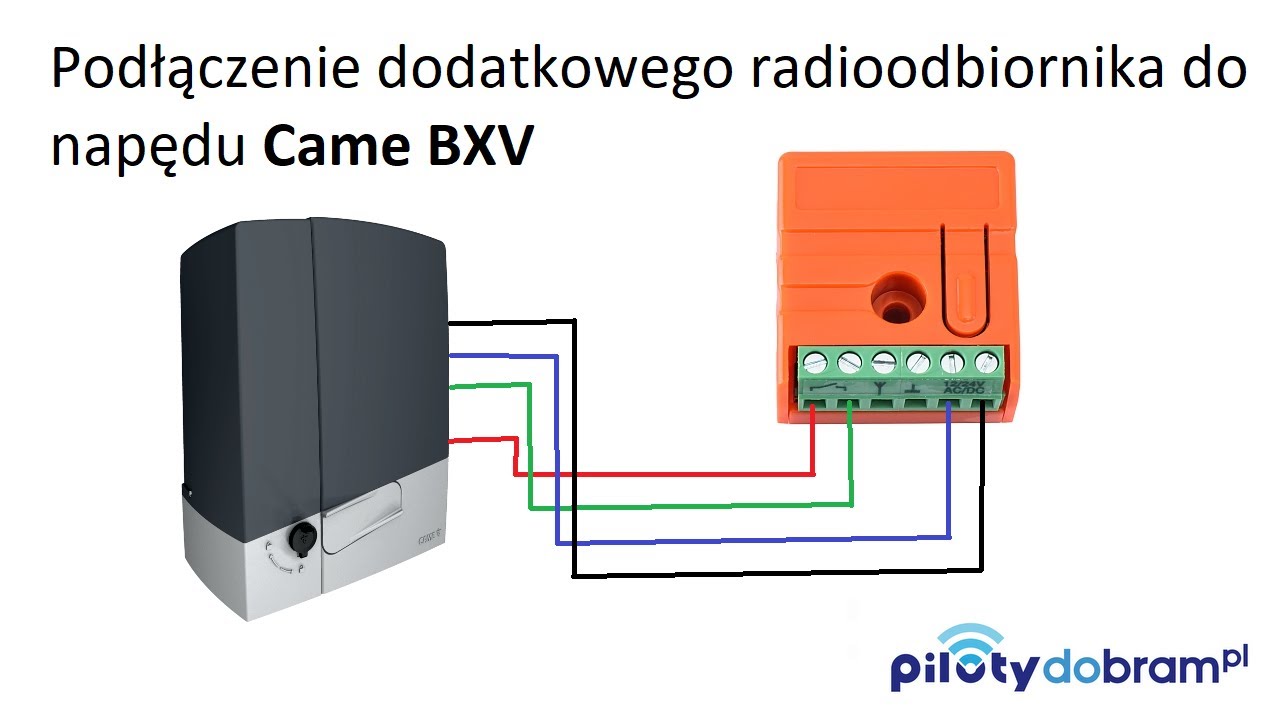 Podłączanie radioodbiornika Proxima NM1 do napędu Came BXV Safe