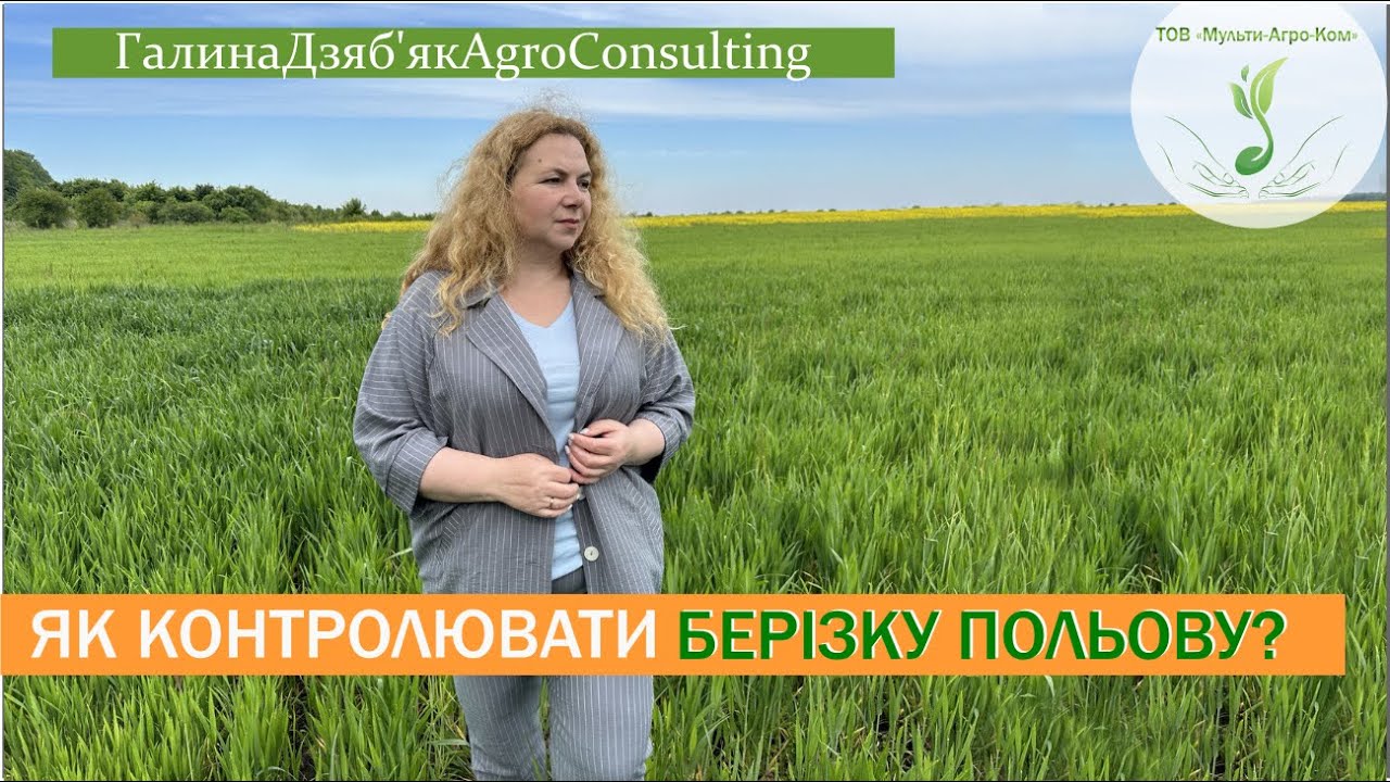 Берізка польова: які ефективні діючі речовини в посівах різних культур?