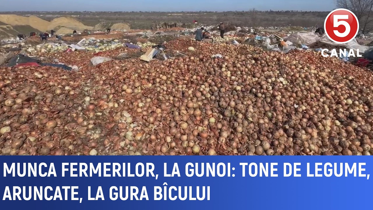 Munca fermerilor, la gunoi: Tone de legume aruncate la Gura Bîcului