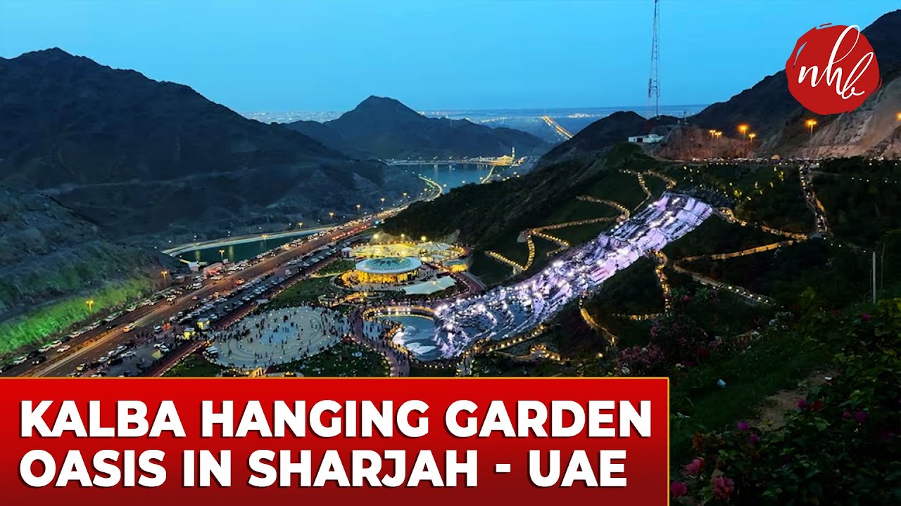 Hanging Gardens of Kalba | Sharjah’s Stunning New Family Attraction | UAE