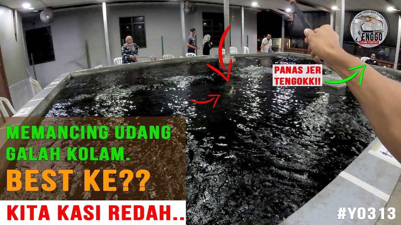 PERCUBAAN PERTAMA MEMANCING UDANG GALAH KAT KOLAM NI BEST KE?? KITA KASI REDAH!! #YO313