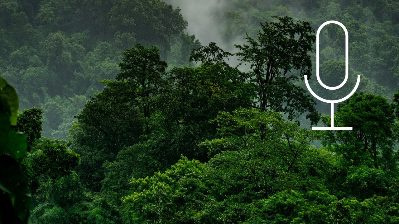 Episode 23: Navigating nature tech solutions for business featuring the NatureTech Alliance