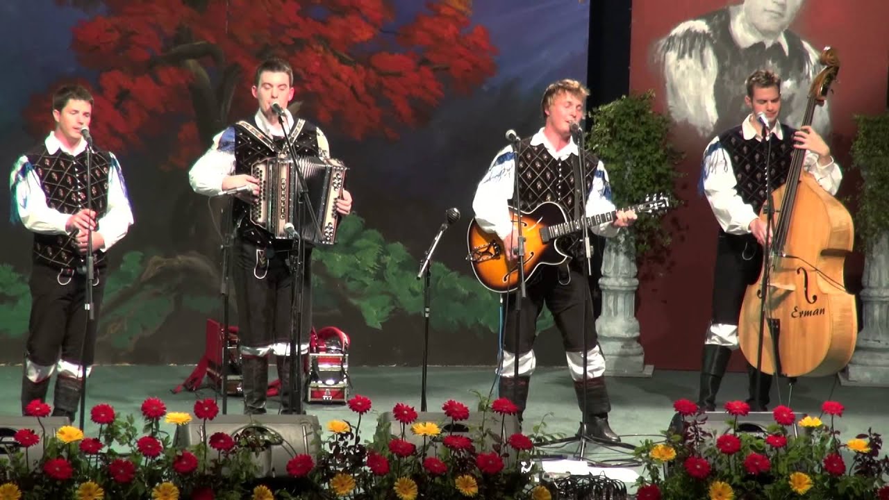 Ansambel Veseli Dolenjci-Domovina (v živo)