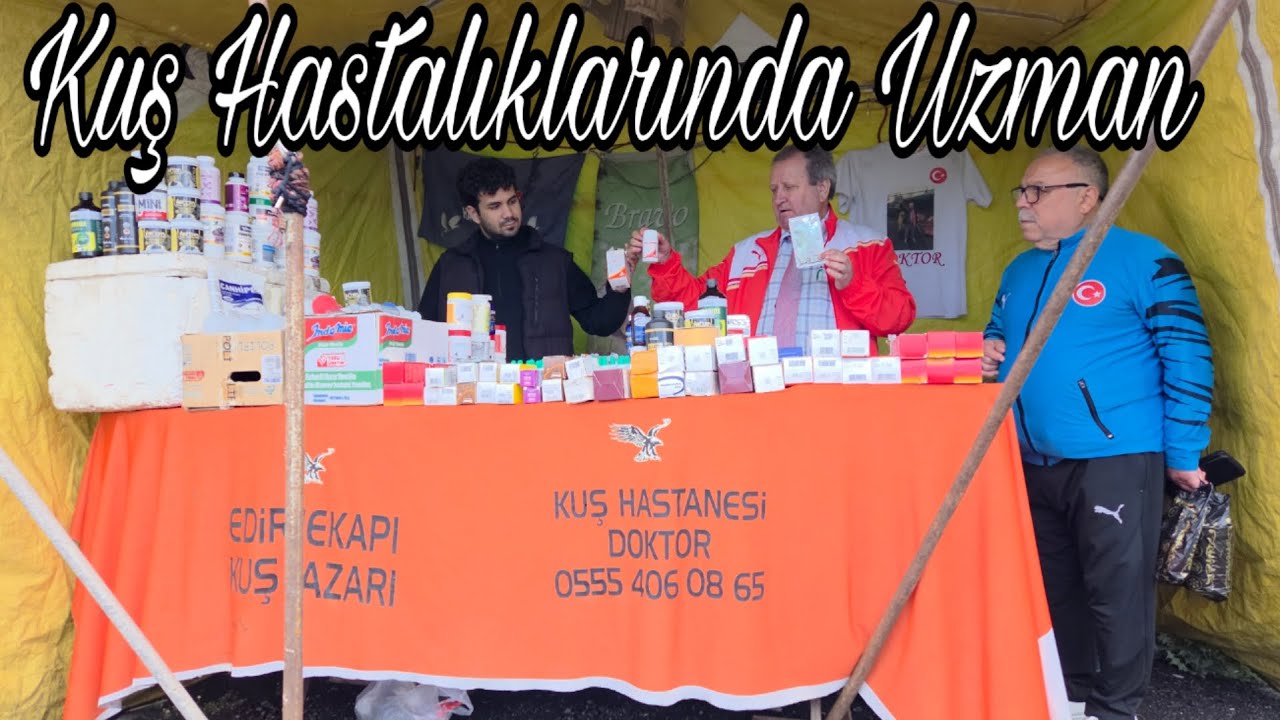 Kuş Hastalıklarında Uzman Doktor. İstanbul Edirne Kapı Güvercin Pazarı