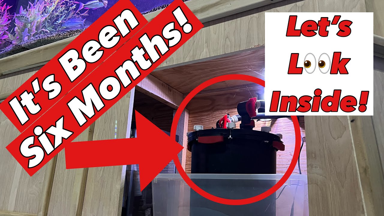 A SHOCKING DISCOVERY Inside My Fluval FX-6 after Running it for 6 Months 24/7!