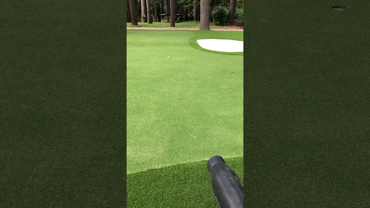 Stihl br800x real world lake front estate