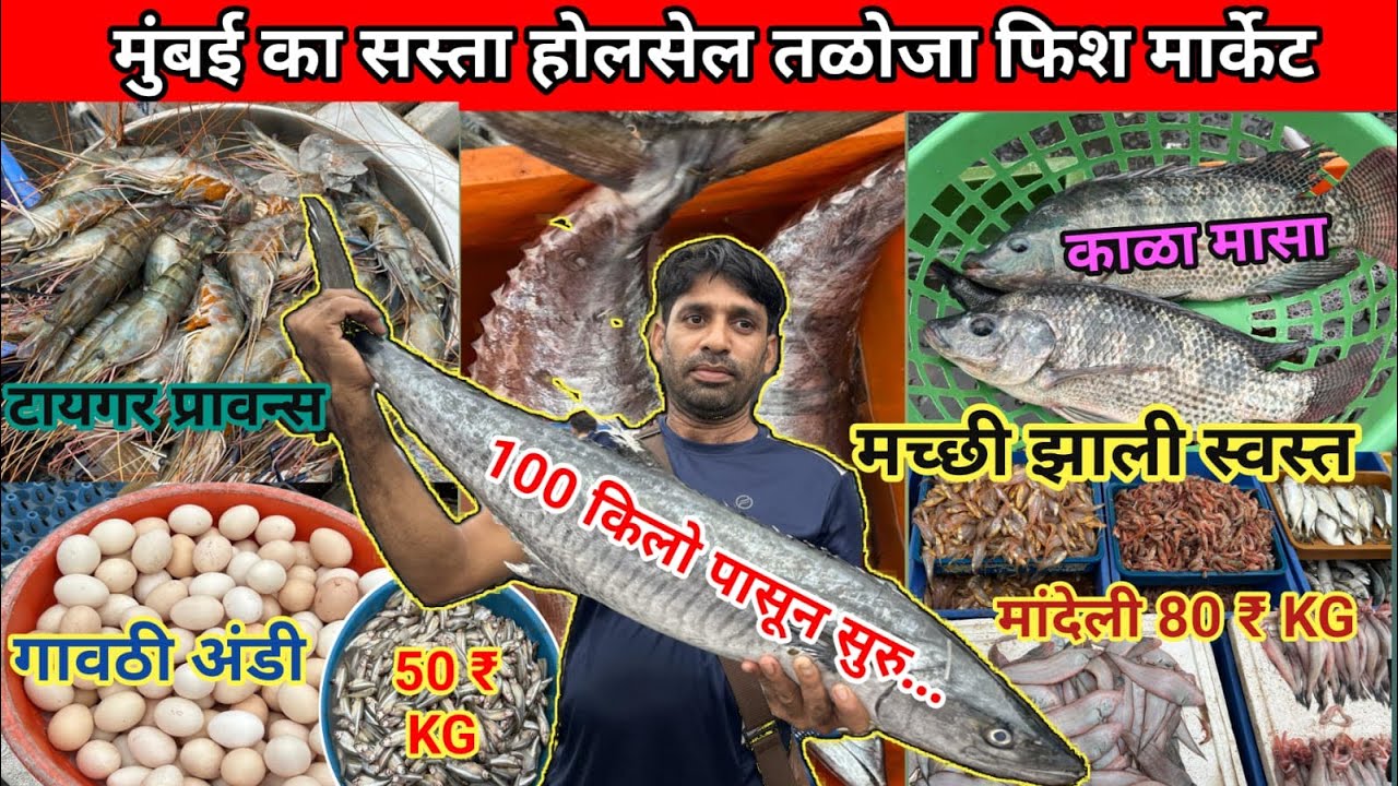 Taloja Fish Market latest video|Taloja Fish Market Wholesale | Wholesale Fish Market In Navi Mumbai 