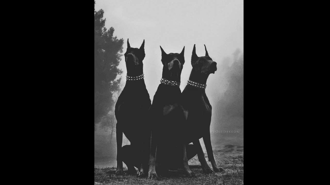 [FREE] JID TYPE BEAT - TRANSFER | hard type beat 2026