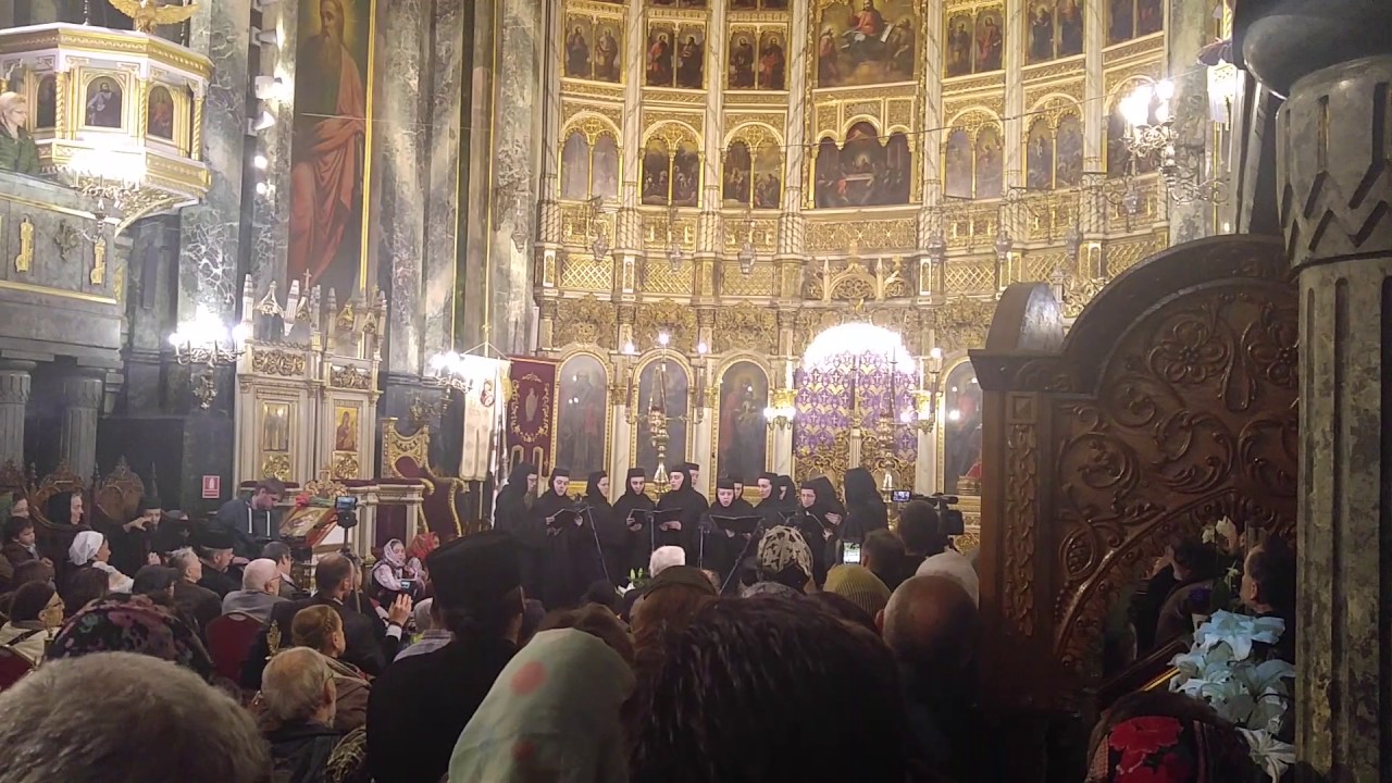 Maicile de la Diaconesti - Raze prin zabrele