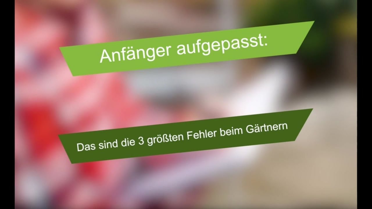 Gartentipp: Die 3 gr&ouml;&szlig;ten Fehler beim G&auml;rtnern f&uuml;r Anf&auml;nger - So vermeidest du sie