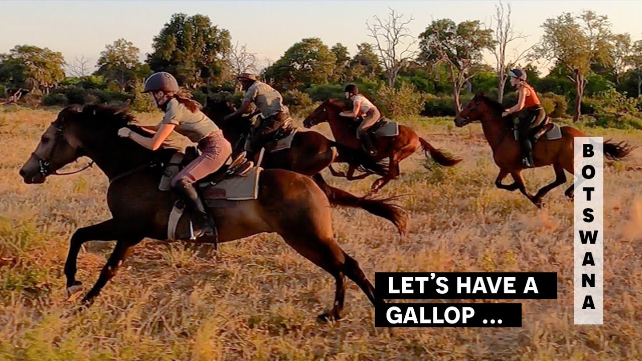 A short gallop on a horse riding holiday in Africa - The Tuli Safari -  a 7 night horseback safari.