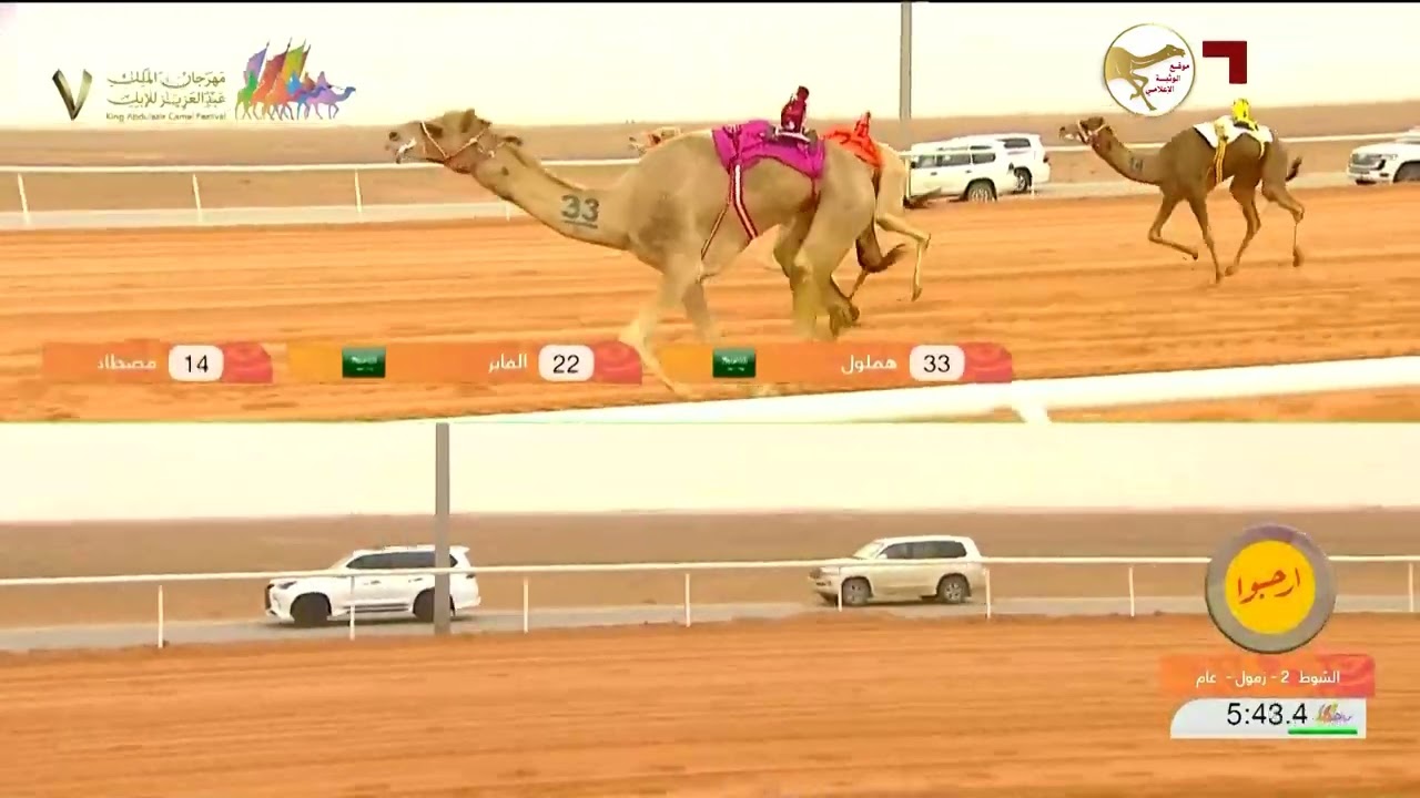 الشوط 2 (الفايز) لـ سعيد علي سعيد المري 13:18:24 ، مهرجان الملك عبدالعزيز للهجن7 2023/1/12 زمول