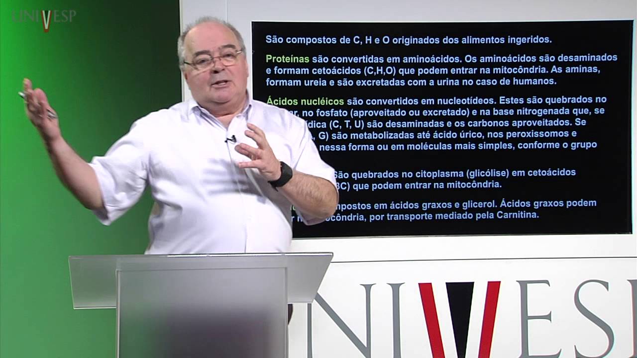Células e Tecidos - aula 6 - Mitocôndrias e Peroxissomos