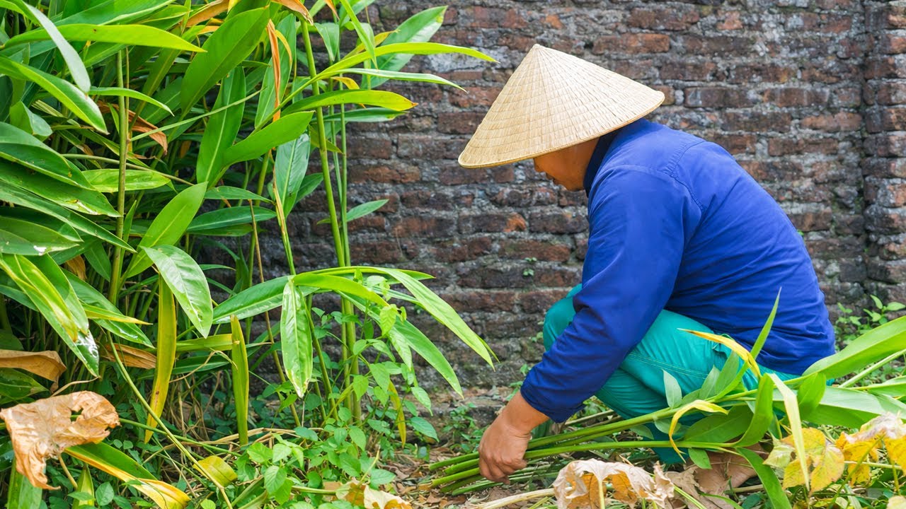 Bố Vào Bếp Làm Thịt Giả Cầy, Thịt Nướng Dân Dã Cho Bữa Cơm Gia Đình | Ẩm Thực 1977