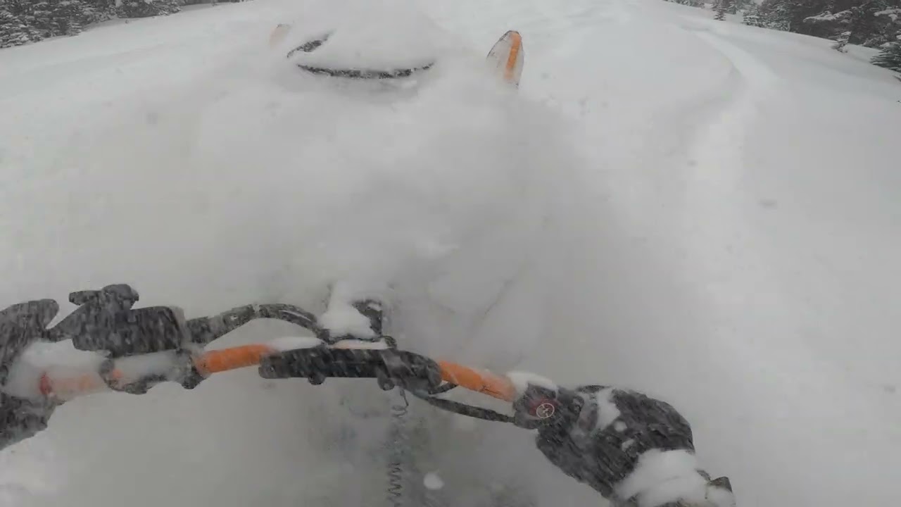 DB928C7D D739 47B4 91CB 213D0300C2E6