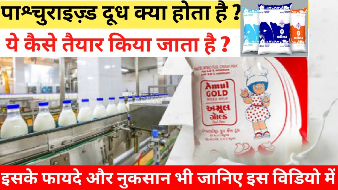 Pasteurized milk kya hota hai|Pasteurized milk process|Pasteurization