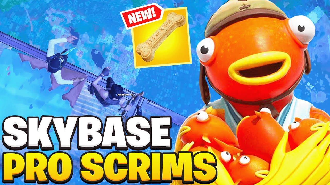 DUO SKYBASE WIN IN PRO SCRIMS 😲💥