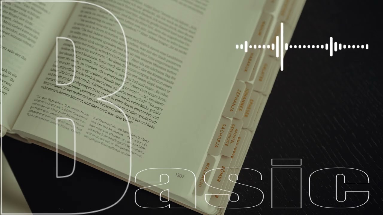 Basic_Playlist — An Open Page, Quiet Time (1 Hour) | Calm Daylight · Cozy Urban Chill
