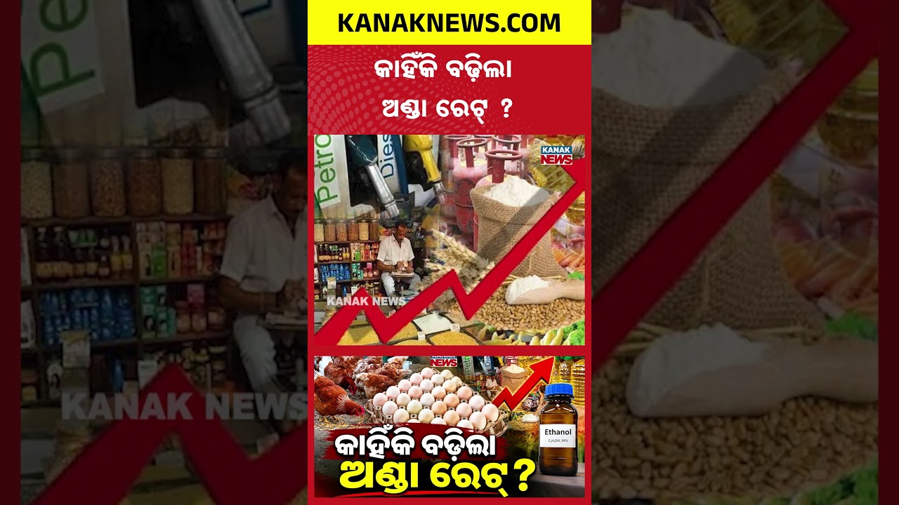 Egg Prices Rise 40% | Is Ethanol Driving Up the Cost of Eggs?