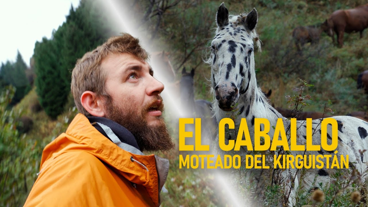 Descubro una Nueva RAZA | Caballos del Kirguistán