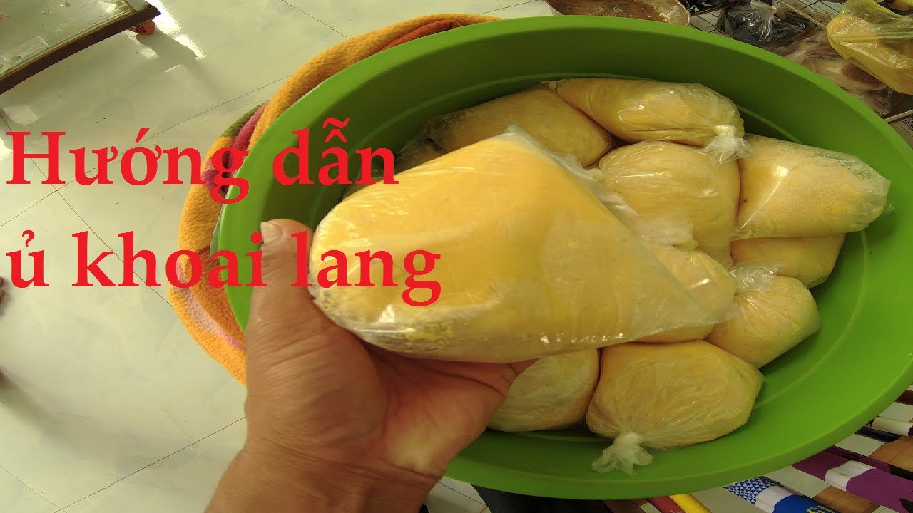 Hướng dẫn ủ khoai lang làm mồi nền câu cá mè