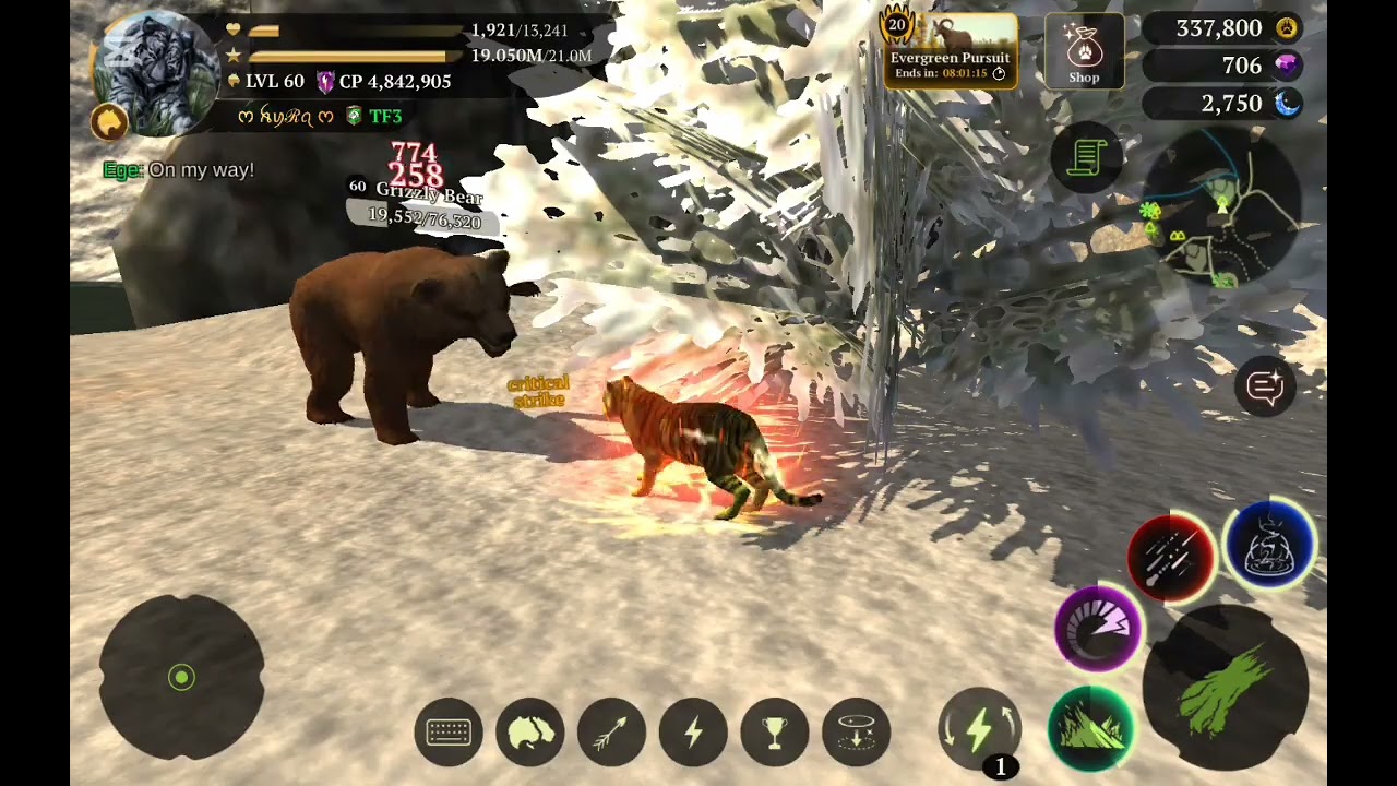 I reach  lvl 61 , in the tiger. 