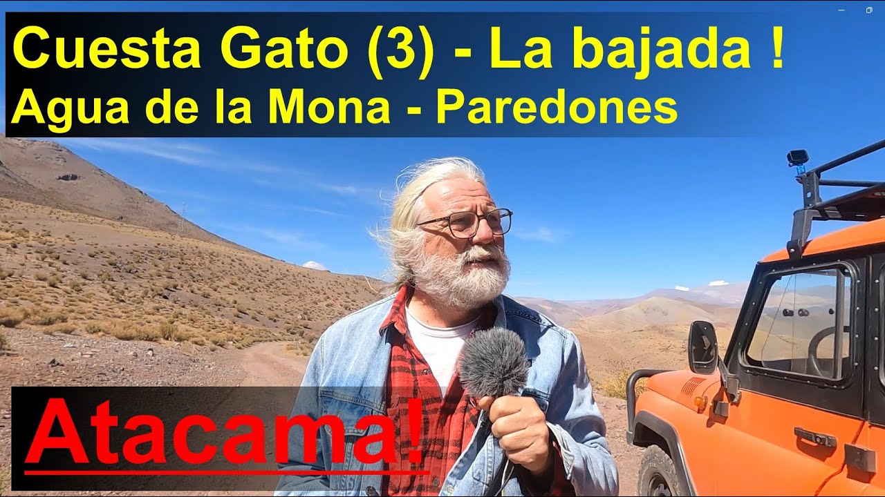 Gato (3): Bajando la cuesta El Gato - Saldaño y Agua  de la Mona (Atacama)