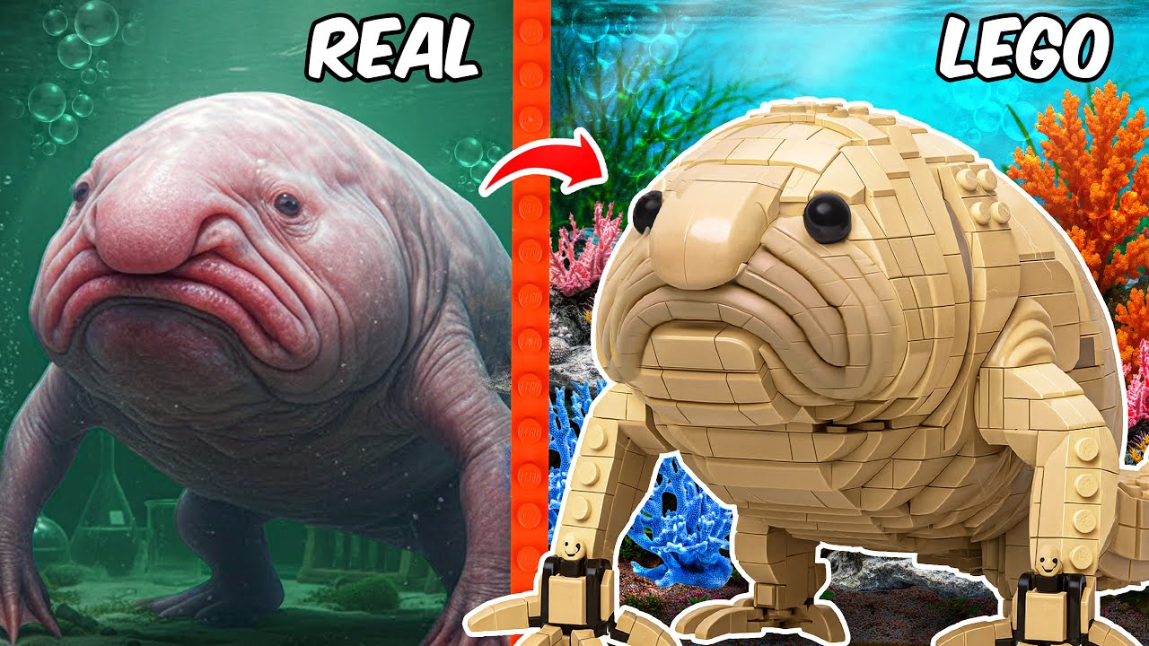 I Built a LEGO Story of the BLOBFISH! | AM Bricks Galaxy