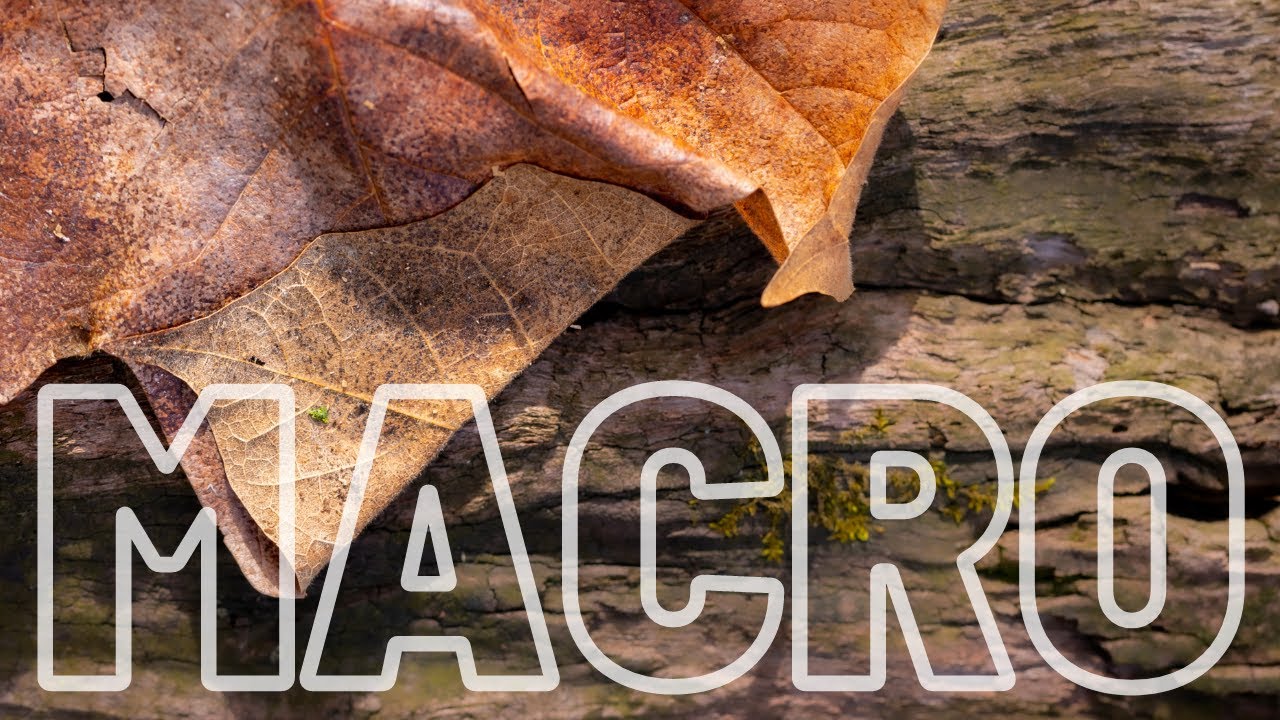 MACRO LENS + NIKON D850 📸 to create intimate LANDSCAPE Images
