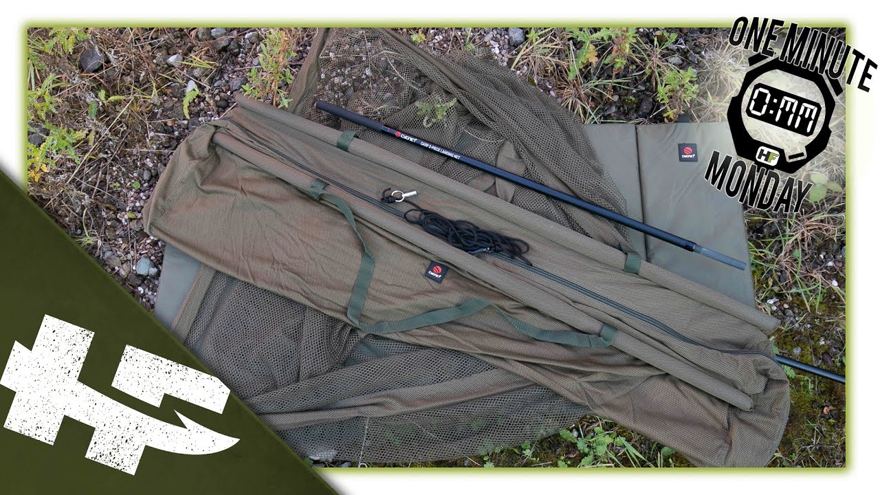 One Minute Monday - Budget Carp Fishcare - Cygnet