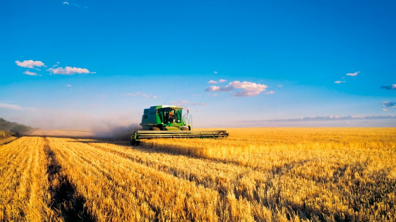 Fertiliser shortages a 'consequence of crazy green insane policies'