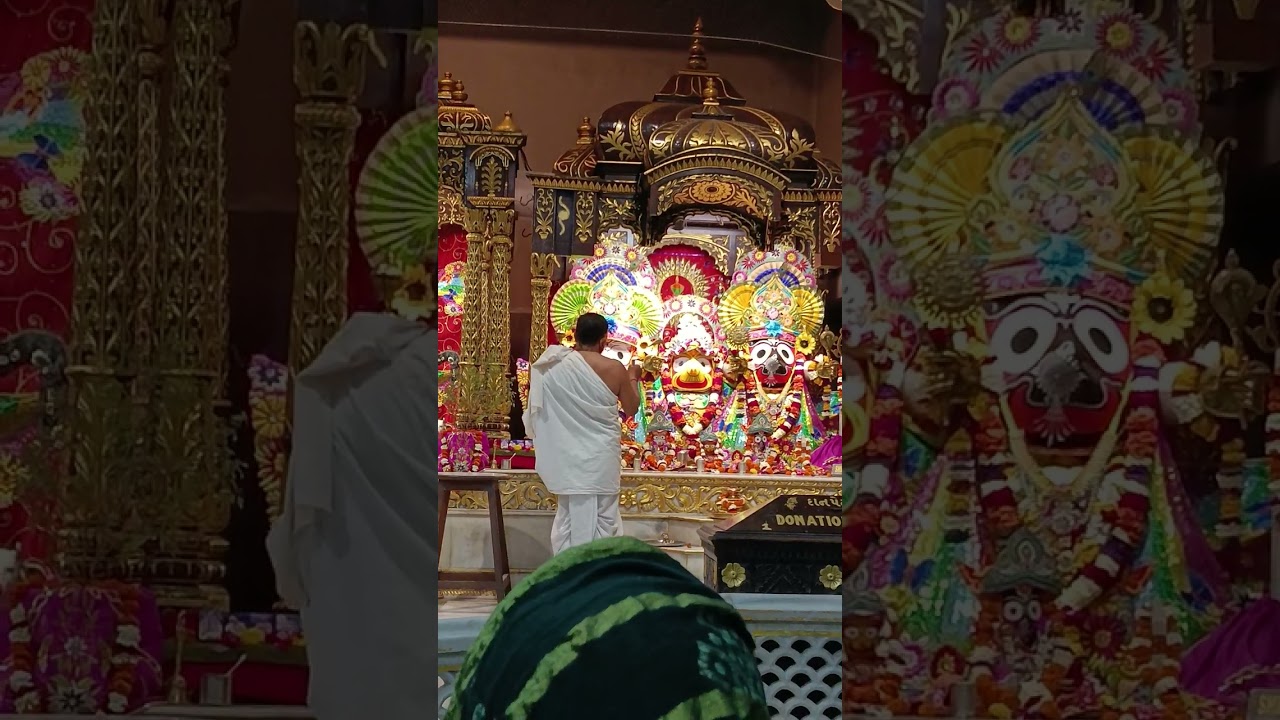 Feb.Krishna #krishna #vrindavan #radhakrishna #krishnastatus 🙇🏻🌸❤️🌹🤌🏻#surat @SHIVANI1992 